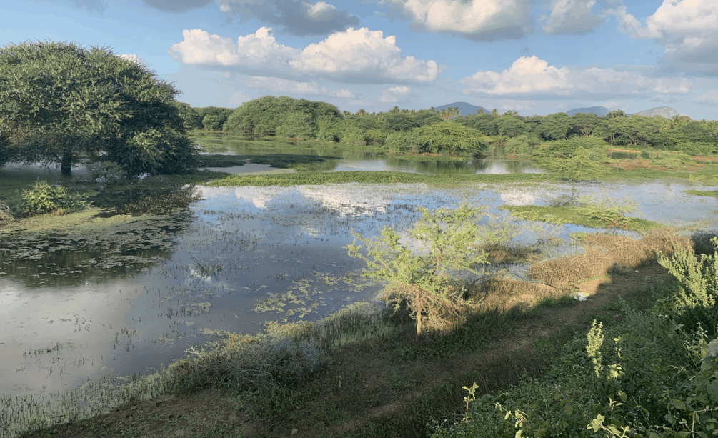 A Victory for Clean Water and Human Rights in India