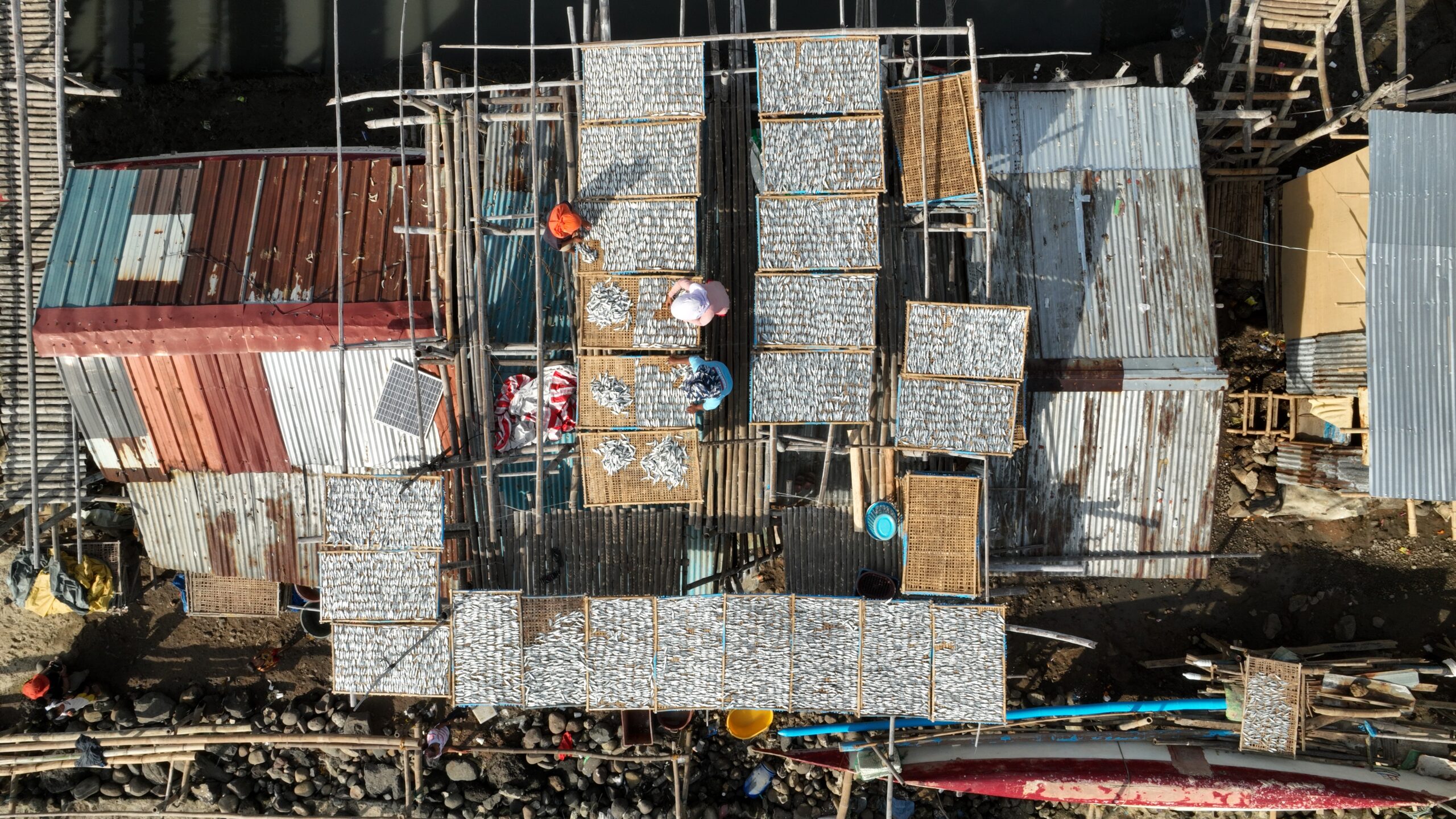 Fishing for Justice: How Coastal Communities in the Philippines Are Fighting for Their Rights
