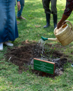 Where We Found Resolve in 2025